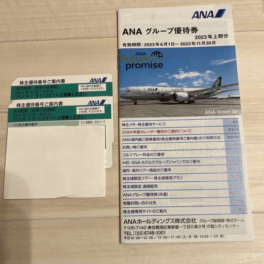 ANA(全日本空輸)(エーエヌエー(ゼンニッポンクウユ))のANA株主優待券　2枚 チケットの乗車券/交通券(航空券)の商品写真