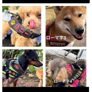 ユリウス(JULIUS)のオリジナルワッペン ネームプレート タグ(犬)