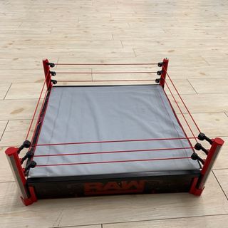 KUNIさま専用WWE フィギュア　リング　ビッグサイズ(格闘技/プロレス)