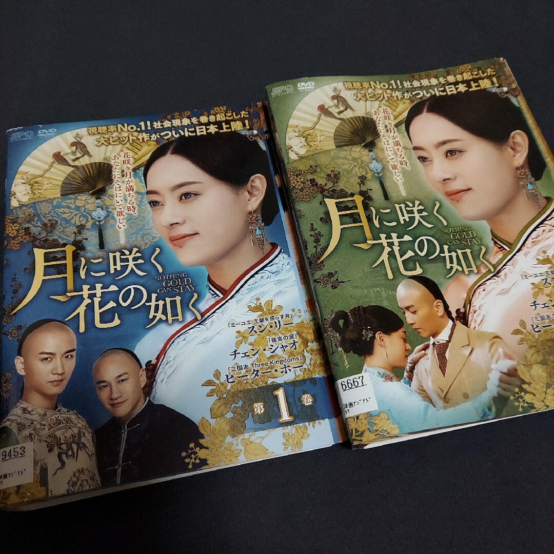 中国ドラマ「月に咲く花の如く」スン・リー　全３７巻セット(レンタル落ち)