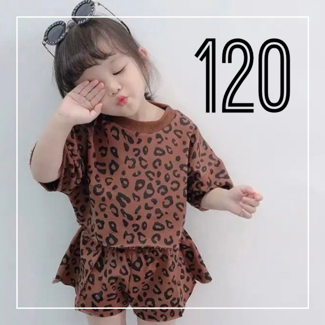 子ども服 韓国 120 セットアップ ヒョウ柄 ブラウン ベビー服 女の子