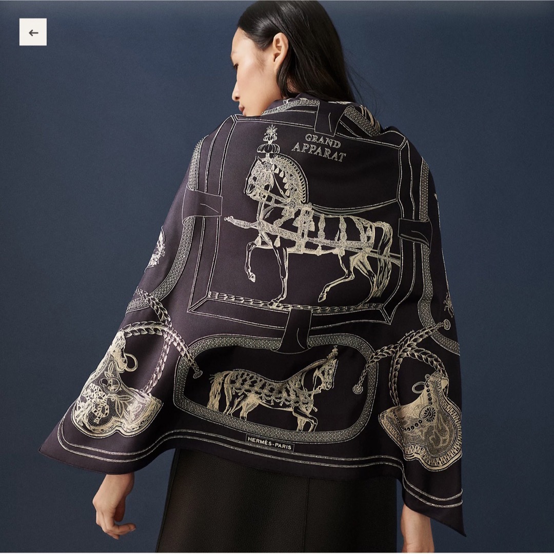 Hermes - 【新品未使用】エルメス マイクパール刺繍 カレ 90