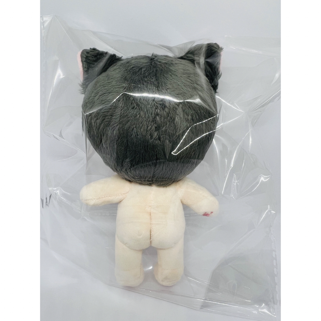 ウォヌ　ジュン　ぬいぐるみ　トレカケース　新品　セブチ　seventeen