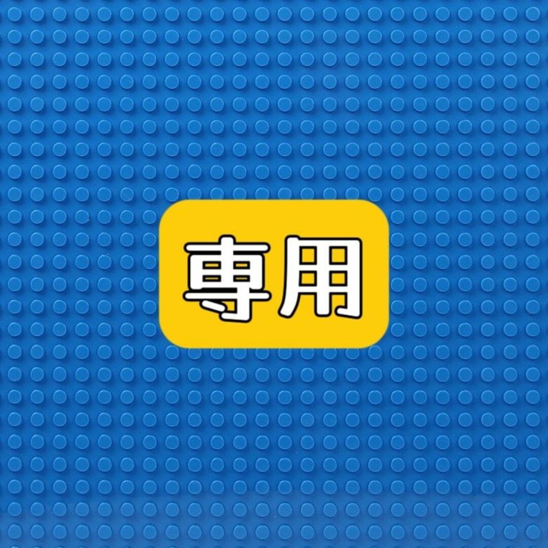専用ページ（ぱんけーき様）