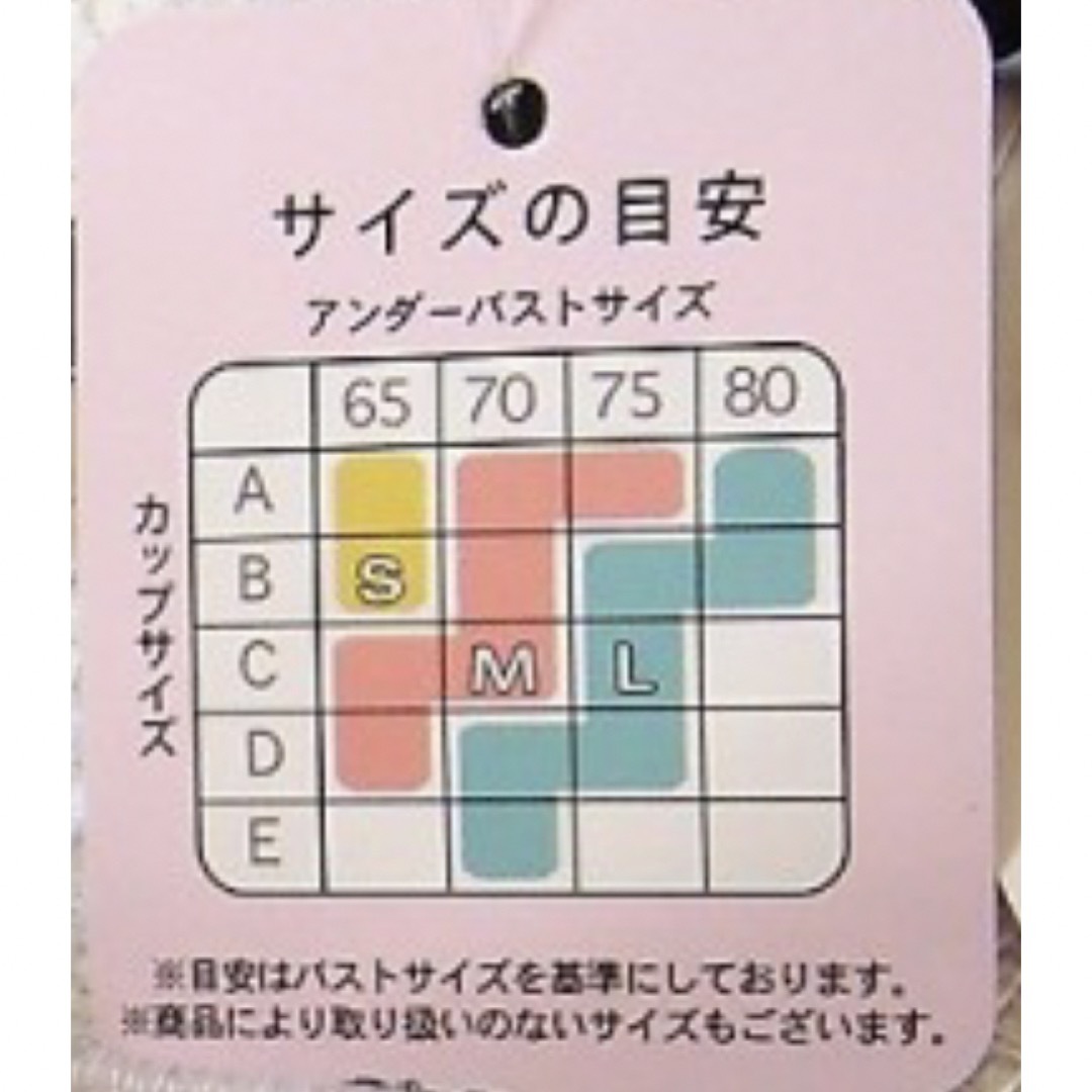 未使用ノンワイヤー ブラジャーショーツセット 上下セット グリーン レディースの下着/アンダーウェア(ブラ&ショーツセット)の商品写真