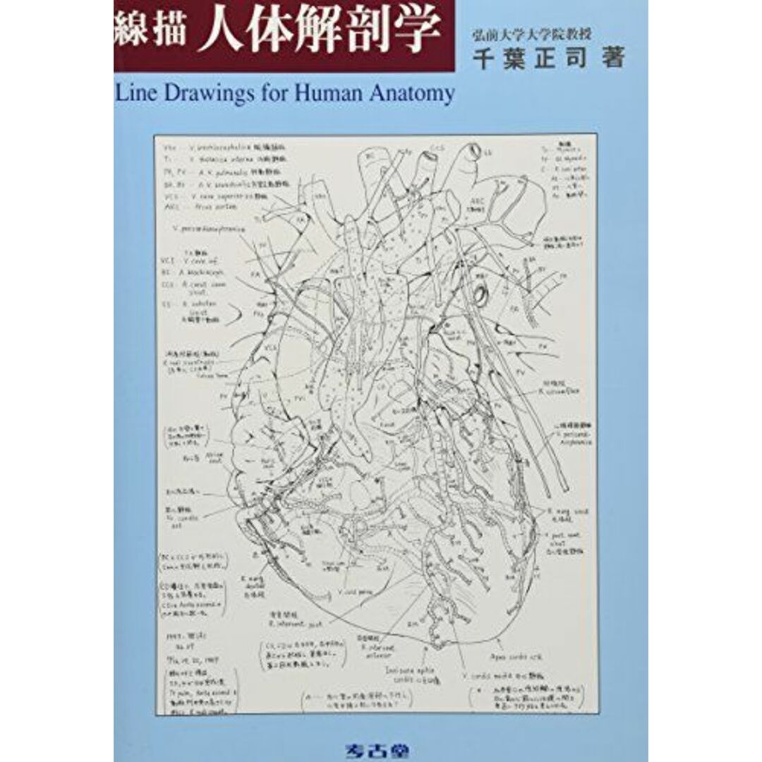 線描人体解剖学 [大型本] 千葉正司