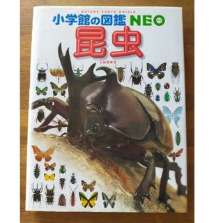 おすすめ　小学館の図鑑 NEO　昆虫(絵本/児童書)