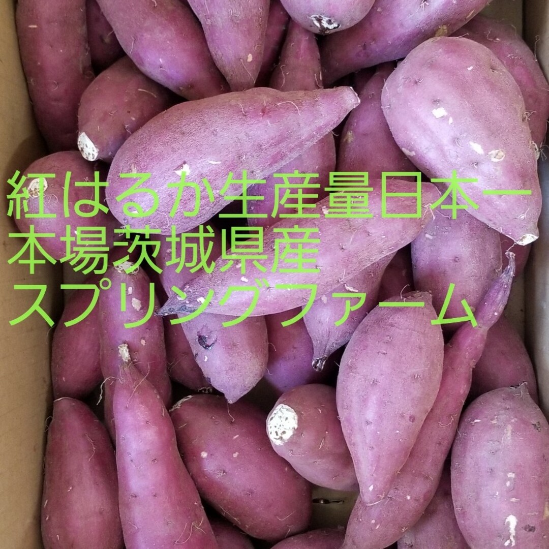 新物初物正規品Sサイズ10㌔重量おまけ付R5年紅はるか土付茨城県減農薬栽培