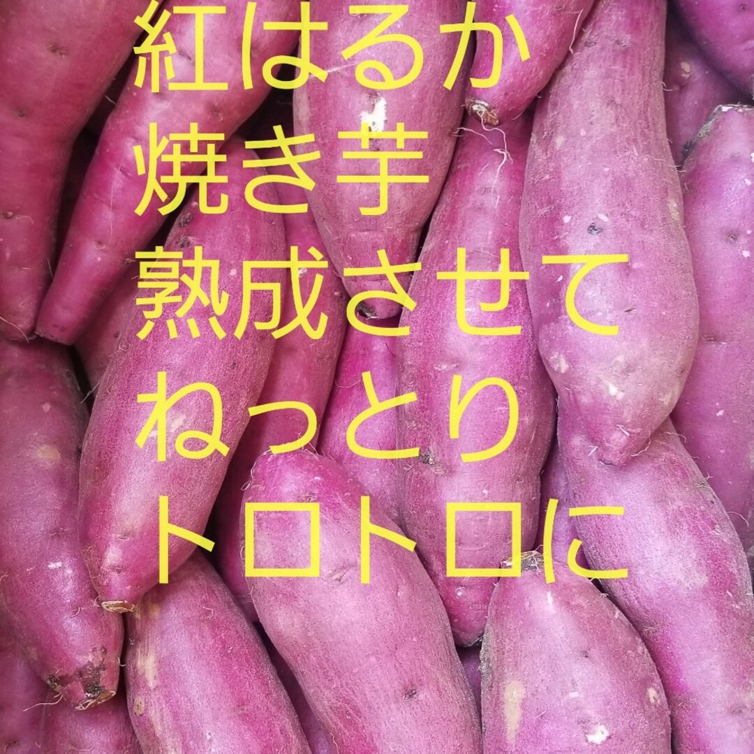 新物初物正規品Sサイズ10㌔重量おまけ付R5年紅はるか土付茨城県減農薬栽培
