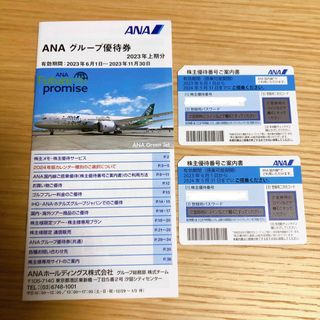 エーエヌエー(ゼンニッポンクウユ)(ANA(全日本空輸))の✳︎ANA株主優待券2枚＋グループ優待券1冊✳︎(航空券)