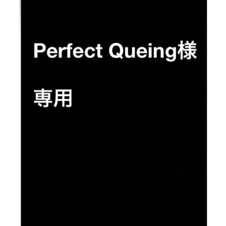 Perfect Queingt 専用(その他)