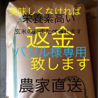 バジル様専用　15日　新米無農薬純こしひかり30㎏ 玄米(米/穀物)