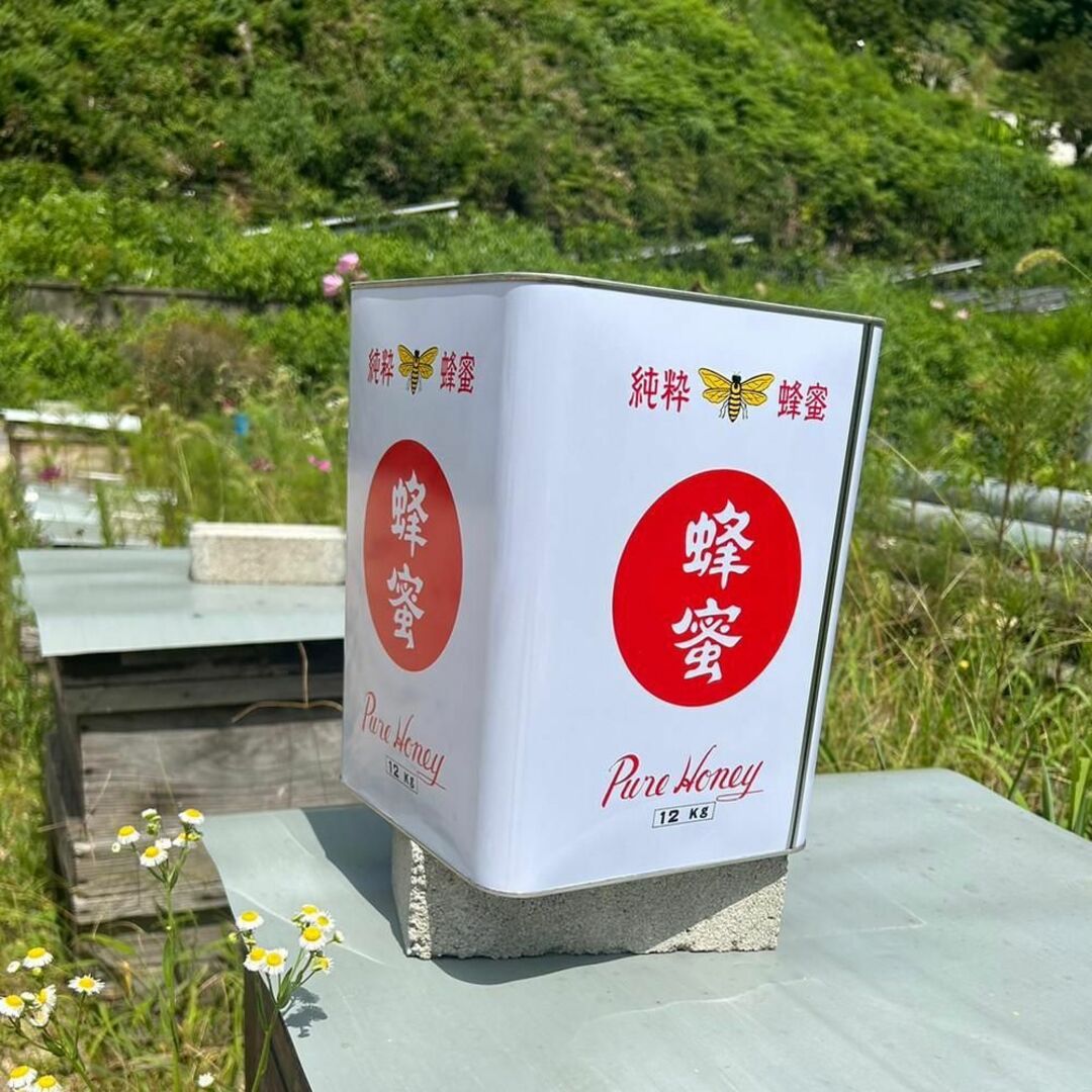 調味料12kg 完熟 生蜂蜜　国産蜂蜜 純粋蜂蜜 無添加　非加熱　缶　新品　新蜜