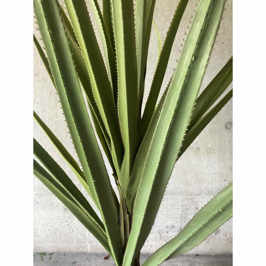 光触媒 人工観葉植物 ウォールグリーン フェイクグリーン 光触媒 人工観葉植物 ウォールグリーン フェイクグリーン