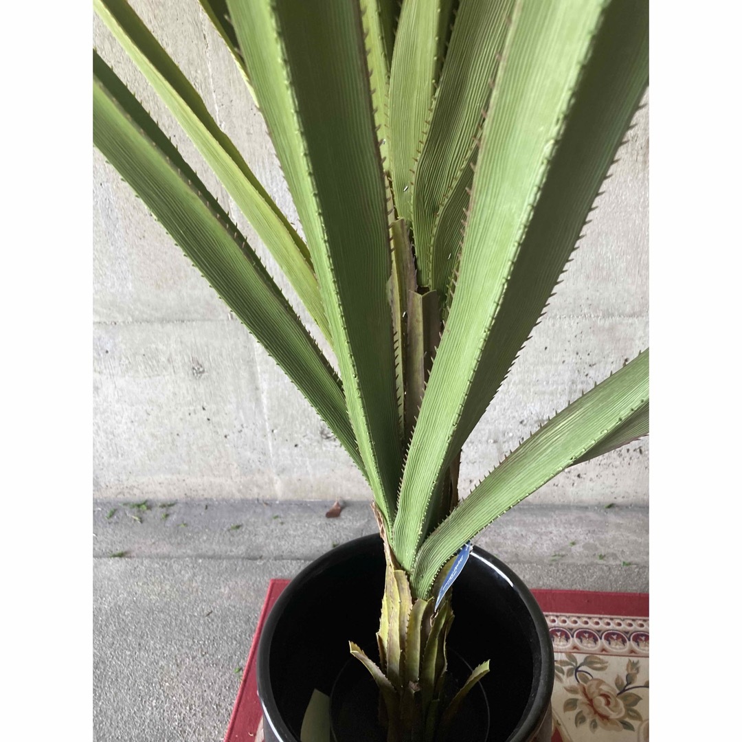 光触媒 人工観葉植物 ウォールグリーン フェイクグリーン 光触媒 人工観葉植物 ウォールグリーン フェイクグリーン