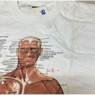 Anatomical Chart T-shir 解剖図 tシャツ カートコバーンの通販 by