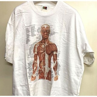 90sヴィンテージ｜1997 筋肉解剖図 Tシャツ [L]｜カート・コバーン着用
