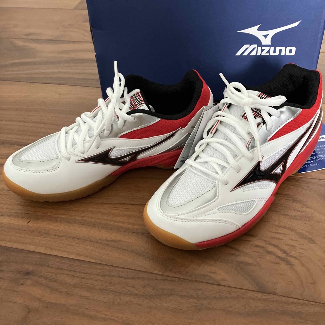 新品タグ付 MIZUNO バドミントンシューズ  24.5 ミズノ ゲートスカイ