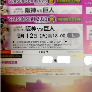 ハンシンタイガース(阪神タイガース)の阪神 VS 巨人 9月12日 レフト外野指定席 通路側ペア(野球)