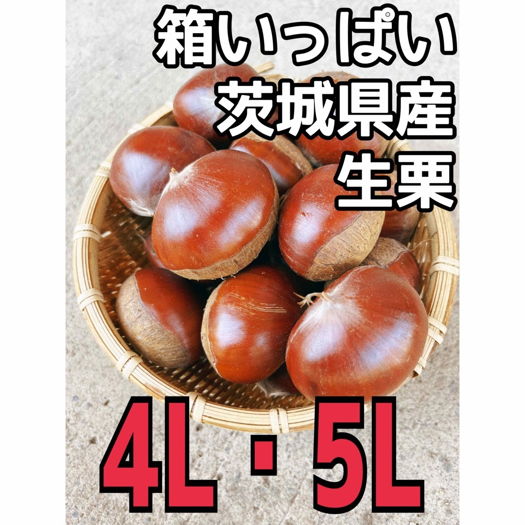 茨城県産 生栗 4Lの通販 by ふぉる's shop｜ラクマ