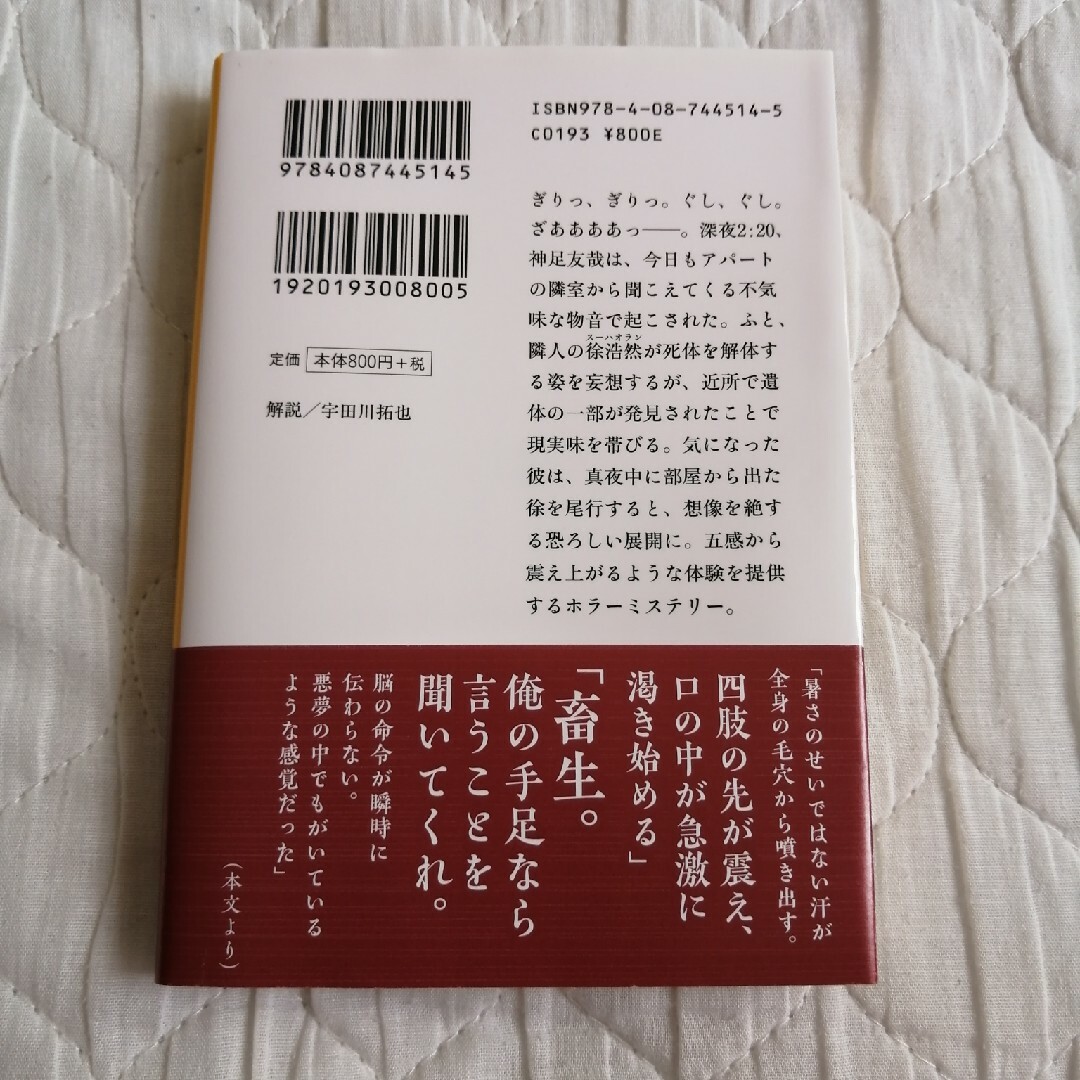 隣はシリアルキラー エンタメ/ホビーの本(その他)の商品写真