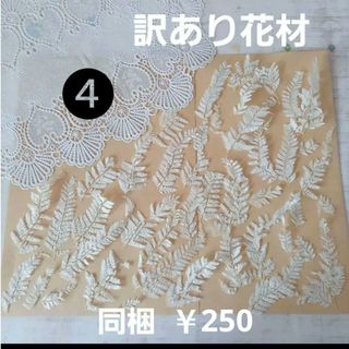 【訳あり】花材  ヒメワラビ(ドライフラワー)