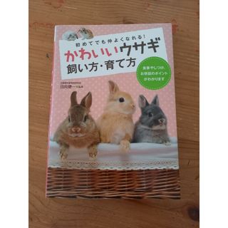 かわいいウサギ飼い方・育て方 初めてでも仲よくなれる！(住まい/暮らし/子育て)