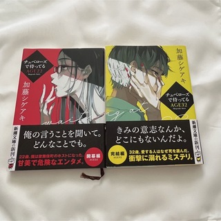 シンチョウブンコ(新潮文庫)のチュベローズで待ってる　AGE22・AGE32(文学/小説)