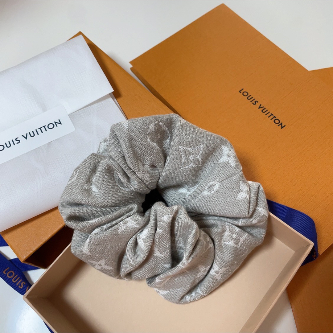 LOUIS VUITTON - 新品未使用 ルイヴィトン シュシュ・モノグラム ジャ