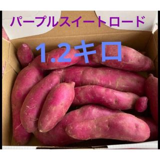 長野県産　パープルスイートロード　1.2キロ(野菜)