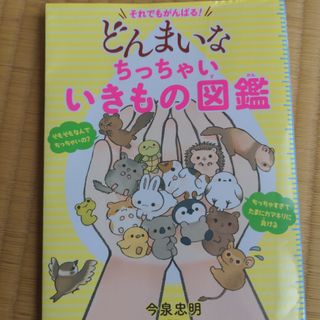 それでもがんばる！どんまいなちっちゃいいきもの図鑑(絵本/児童書)