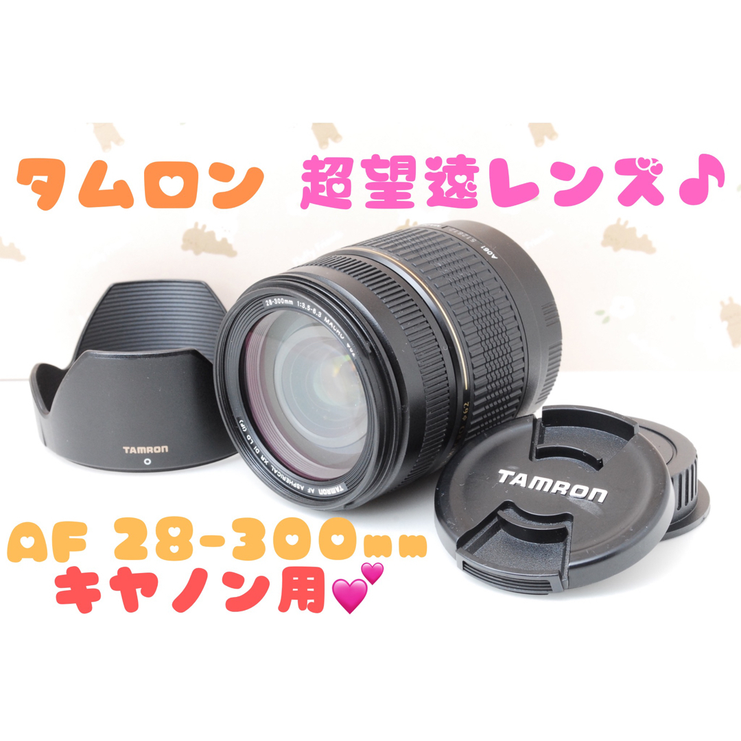 ★広角から望遠まで１本でカバー★AF 28-300mm A061 キャノン用