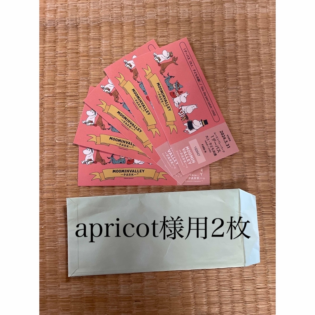 apricot ワンデーパスムーミンバレーパークチケット　2枚