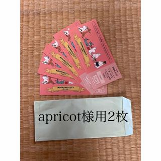 ムーミン(MOOMIN)のapricot ワンデーパスムーミンバレーパークチケット　2枚(遊園地/テーマパーク)