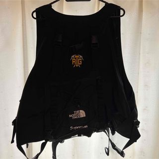 シュプリーム(Supreme)のSupreme×The North Face RTG Vest(ベスト)