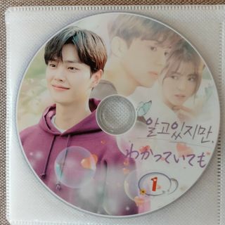 韓国ドラマ　DVD　わかっていても(TVドラマ)