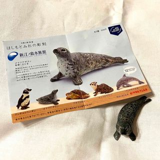 はしもとみお　新江ノ島水族館のガチャガチャ(その他)