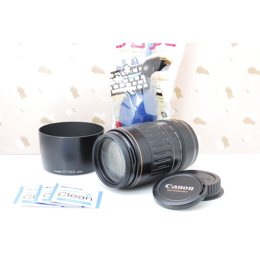 ✨極美品✨キャノン EF 100-300mm USM❤️超・望遠レンズ！ - レンズ