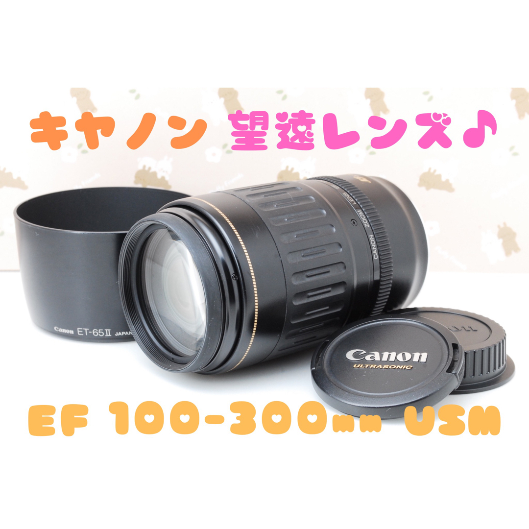 Canon - 美品☆望遠レンズ☆Canon EF 100-300mm F4.5-5.6 USMの通販 by ...