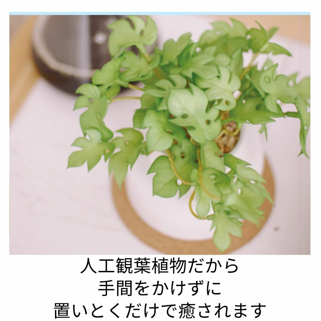 【人気商品】キシマ kishima 人工観葉植物 フェイクグリーン 人工植物 枯 3