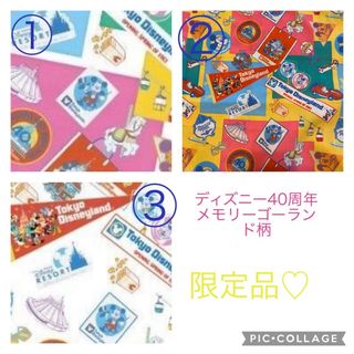 Disney - さなママ様専用 オーダーページの通販 by 他生地もございます