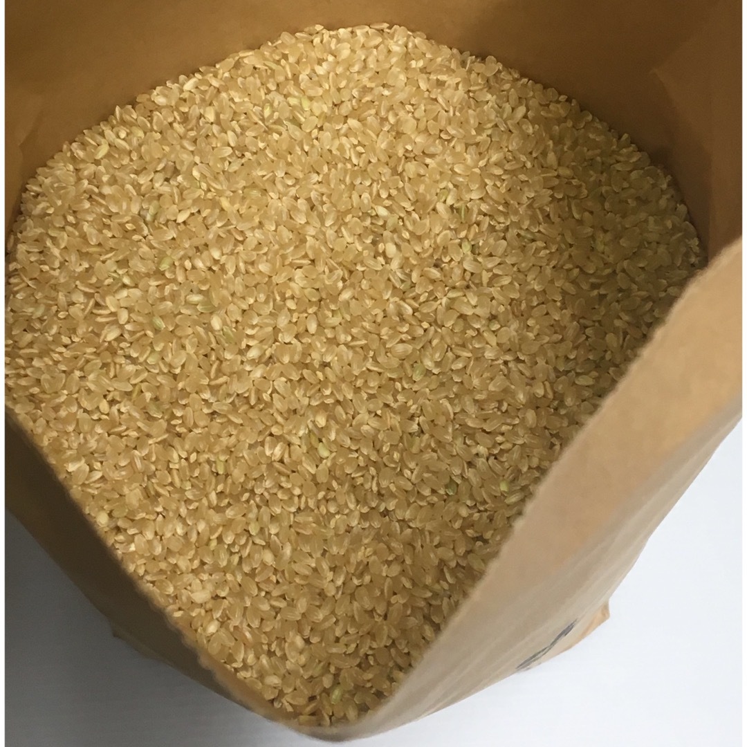 てつごろう様専用　新米　無農薬コシヒカリ玄米20kg(5kg×4)令和5年産-