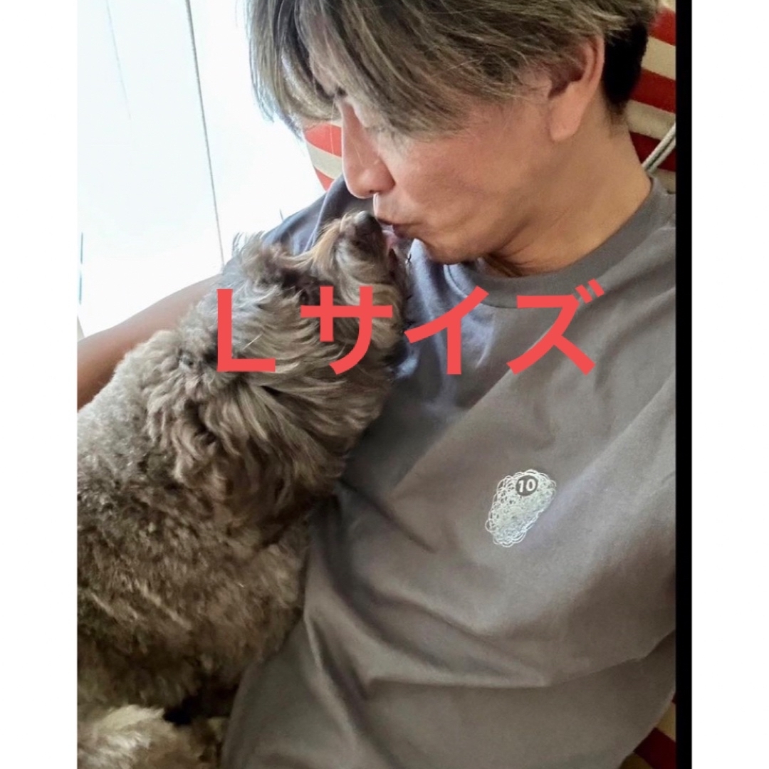 DAMA SURFBOARDS】キムタク着用同型別色 Tシャツ ホワイト Lの通販 by