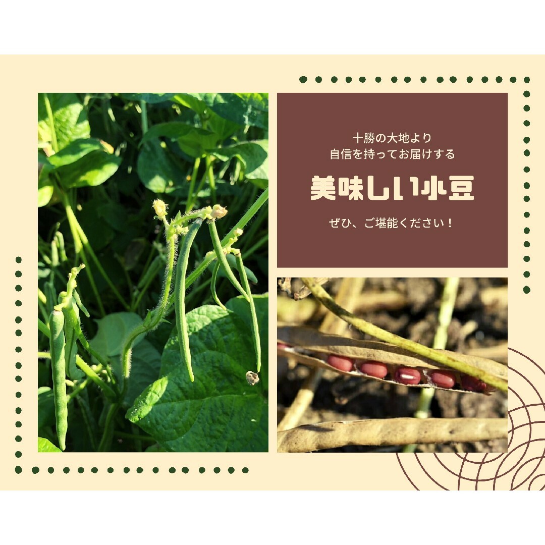 野菜　小豆　5kg