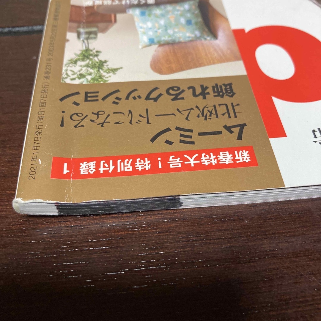 宝島社(タカラジマシャ)のIn Red (インレッド) 2021年1月　佐々木希　町田啓太　篠原涼子　 エンタメ/ホビーの雑誌(ファッション)の商品写真