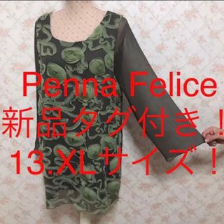 ★Penna Felice/ペンナフェリーチェ★新品タグ付き★長袖ワンピース13(ひざ丈ワンピース)