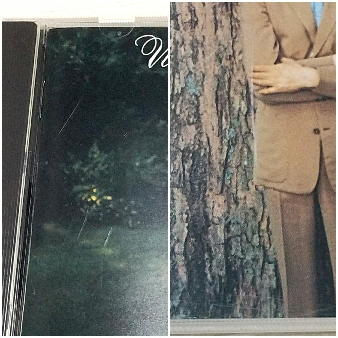 《CD》Wadimir Horowitz /PIANO「CHOPIN」 エンタメ/ホビーのCD(クラシック)の商品写真