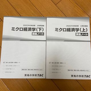 公務員試験　TAC ミクロ経済学　上下　講義ノート　2冊セット