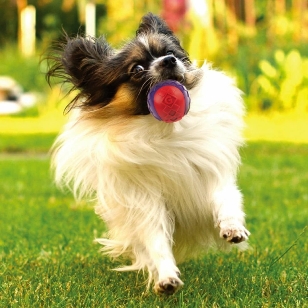 GiGwi(ギグウィ)犬用おもちゃ ギグウィ パピーボール 3P
