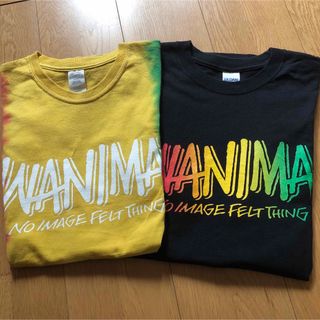 WANIMA Tシャツ(ミュージシャン)